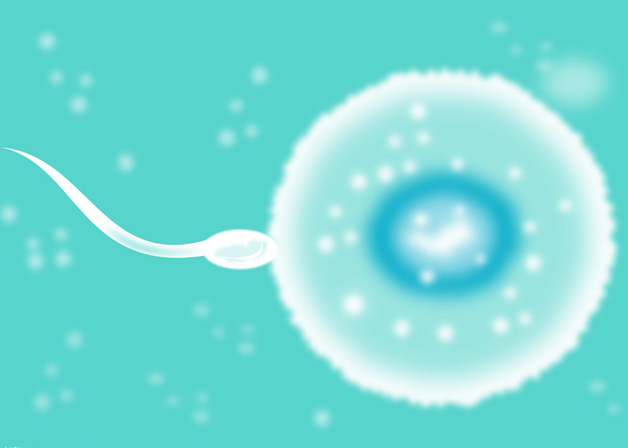 江西医院做亲子鉴定需要的生物样本有哪几种,江西医院办理DNA鉴定结果需要多久