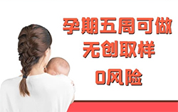 廊坊怀孕如何办理亲子鉴定，廊坊胎儿亲子鉴定办理的条件