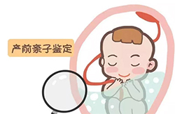 沧州怀孕如何做亲子鉴定，沧州怀孕办理亲子鉴定办理方法