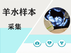 羊水样本采样